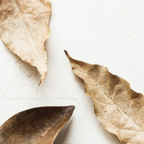 VELA AROMÁTICA ROOTS + LEAVES 100g